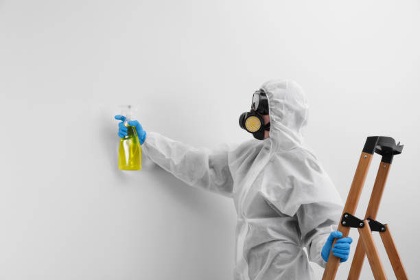 Why You Should Choose Our Mold Remediation Services in Falcon Heights, MN